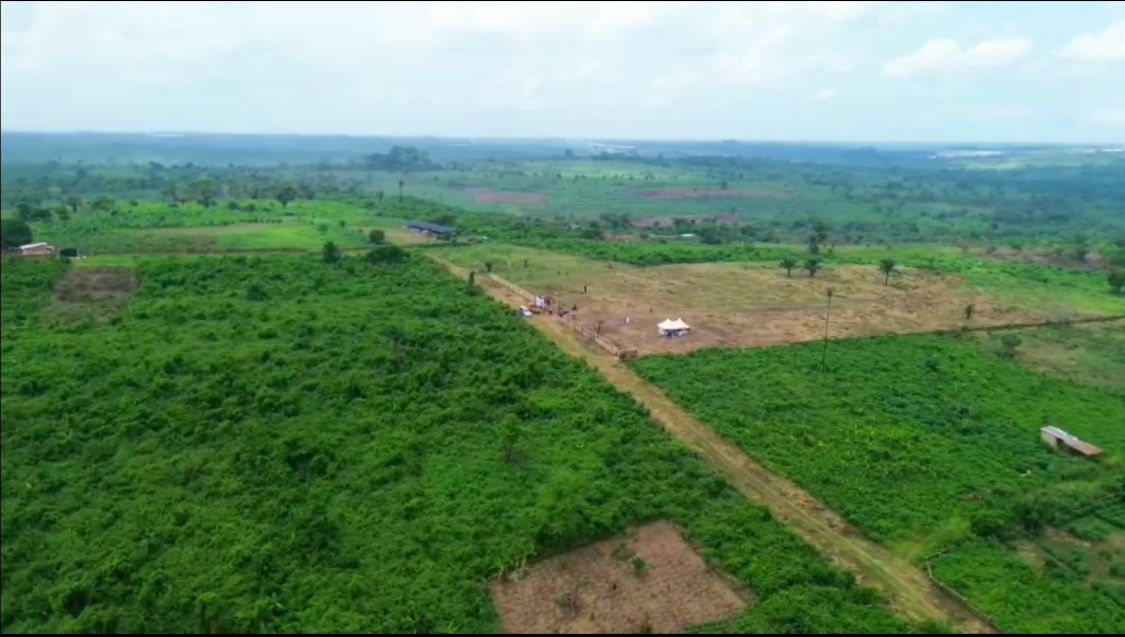 7422006b-1112-4aa3-a8e4-b623eedddbf8-img