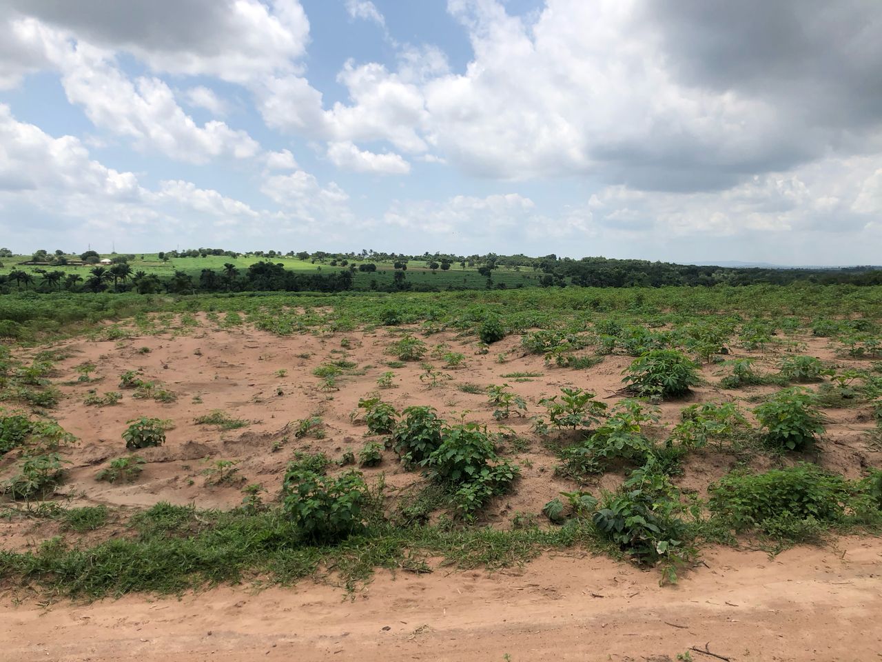 4139b7bd-2fc1-4f5e-83d4-d2fa1d6d18e8-img