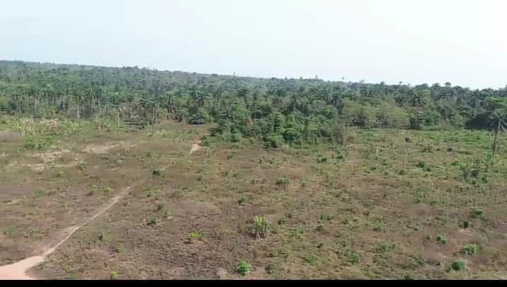 3cf28db2-45c9-4f9e-8de1-652d86ea0958-img